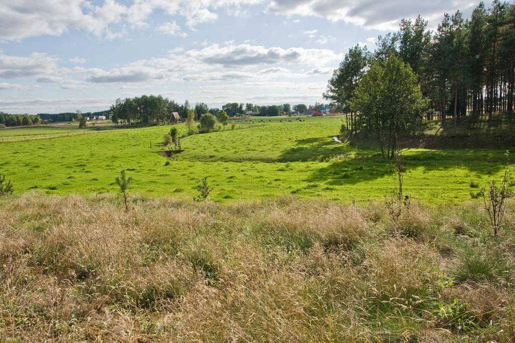 Agroturystyka Sominy Bernadeta Exteriör bild